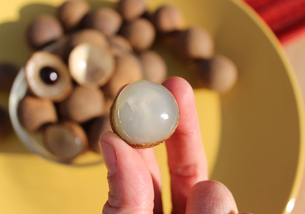 fresh-longan-fruit fresh-longan-fruit