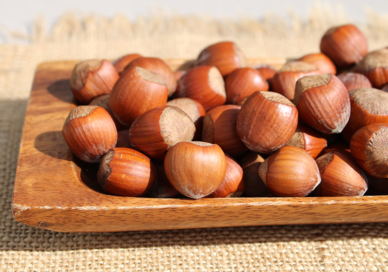 fun-facts-about-hazelnuts