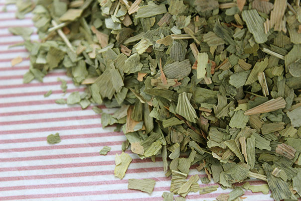 the medicinal benefits of the ginkgo leaf in china Benefits of ginkgo leaf extract best cognitive enhancer ginkgo biloba has become popular as an herbal remedy for it’s effects on memory, memory loss , concentration and headaches. the medicinal benefits of the ginkgo leaf in china Benefits of ginkgo leaf extract best cognitive enhancer ginkgo biloba has become popular as an herbal remedy for it’s effects on memory, memory loss , concentration and headaches.