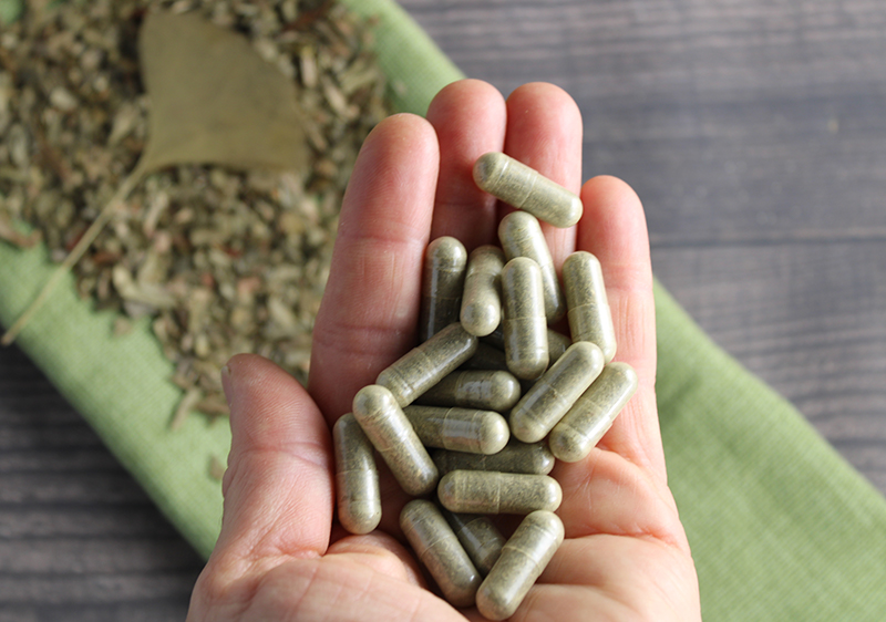 ginkgo-extract-capsules ginkgo-extract-capsules