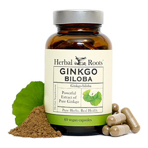 ginkgo-extract-standardized-capsules