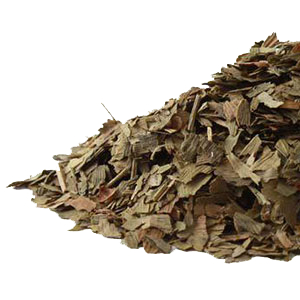 ginkgo-leaf-mountain-rose