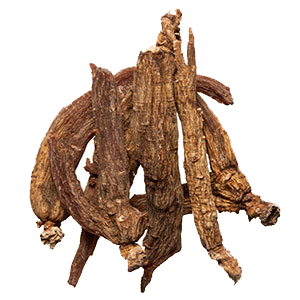 ginseng-red-plumdragon-herbs