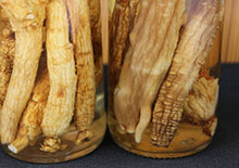 ginseng-root-page