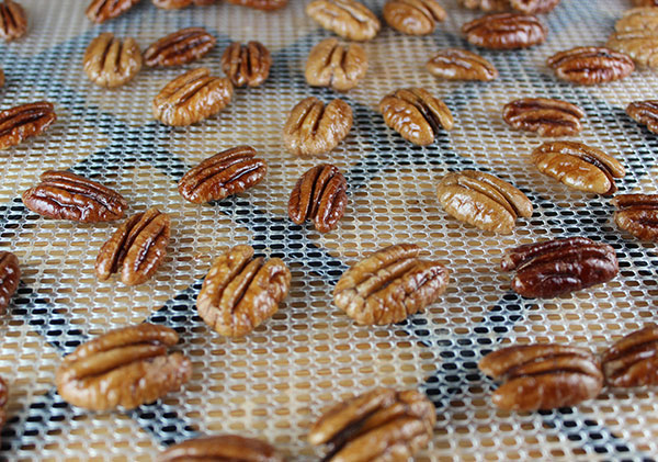 glazed-dehydrated-pecans glazed-dehydrated-pecans
