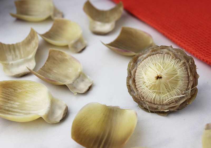 Globe Artichokes Facts, Nutrition, and Preparation