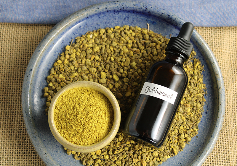 goldenseal-root-powder goldenseal-root-powder