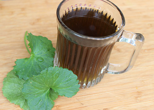 gotu-kola-tea-infusion gotu-kola-tea-infusion