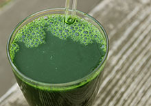 green-juicing-related-pages-section