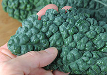 green-leafy-vegetables-page