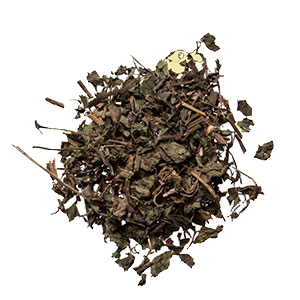 gynostemma-plum-dragon-herbs