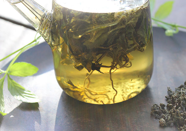 gynostemma-tea-benefits-southern-ginseng gynostemma-tea-benefits-southern-ginseng