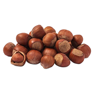 hazelnuts-oregon-anna-sarah