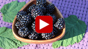 health-benefits-of-blackberries-vid