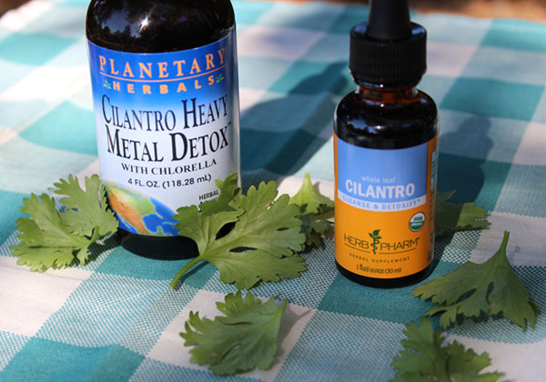 Health Benefits Of Cilantro Top 3 Reasons To Eat Or Juice It