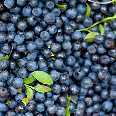healthy-eyesight-anthocyanins healthy-eyesight-anthocyanins