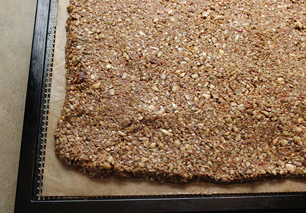 healthy-granola-recipe-dehydrated healthy-granola-recipe-dehydrated