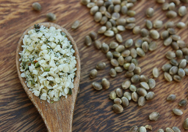 Benefits of Hemp Seeds, Source of Protein and Omega-3 Fatty Acids