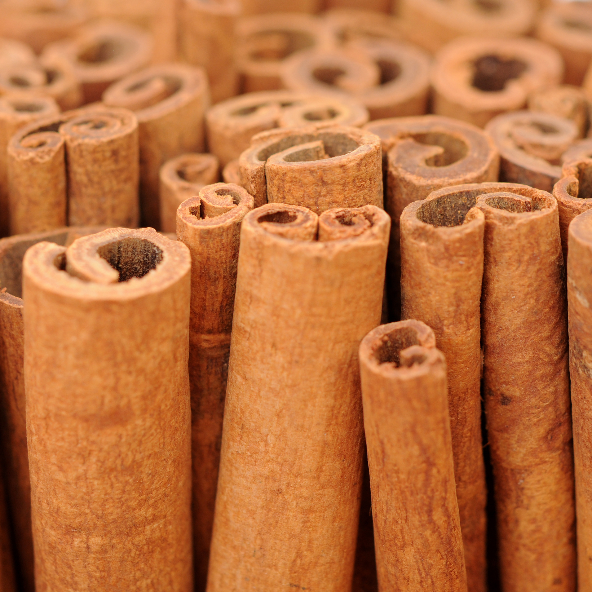 herbal-flavor-enhancers-cinnamon herbal-flavor-enhancers-cinnamon