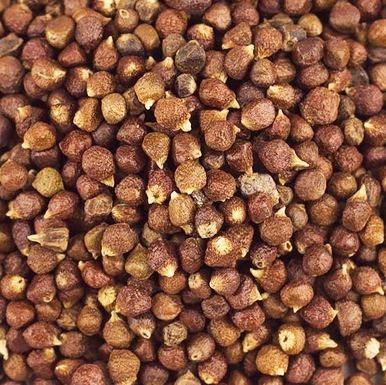 herbal-flavor-enhancers-grains-of-paradise herbal-flavor-enhancers-grains-of-paradise