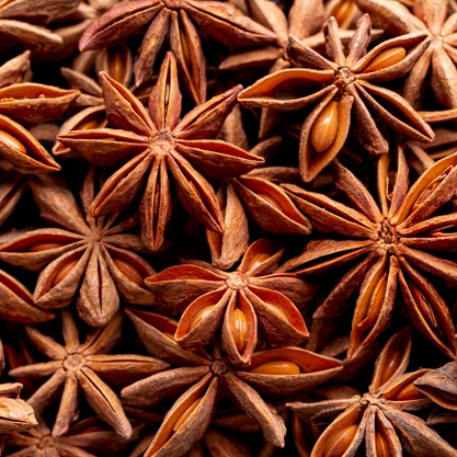 herbal-flavor-enhancers-star-anise herbal-flavor-enhancers-star-anise