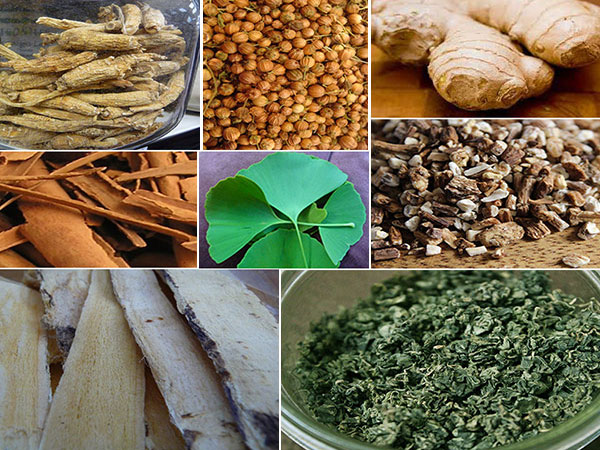 herbal-stimalants-collage-1 herbal-stimalants-collage-1