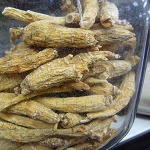 herbal-stimulants-ginseng-root herbal-stimulants-ginseng-root