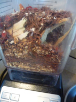 herbal-tea-recipes-16 herbal-tea-recipes-16