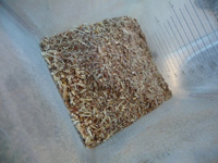 herbal-tea-recipes-17 herbal-tea-recipes-17