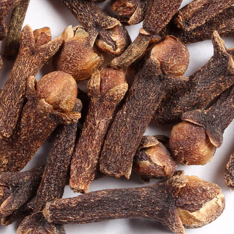 herbs-and-spices-cloves