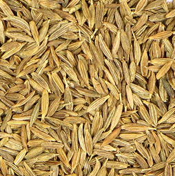 herbs-and-spices-cumin