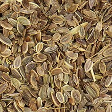 herbs-and-spices-dill-seed