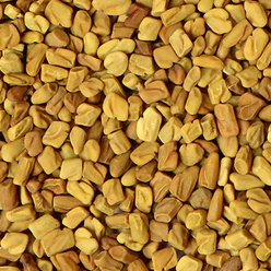 herbs-and-spices-fenugreek
