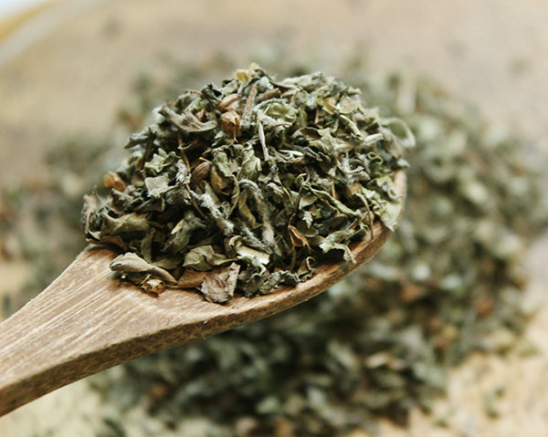 holy-basil-tea-dried-leaves holy-basil-tea-dried-leaves
