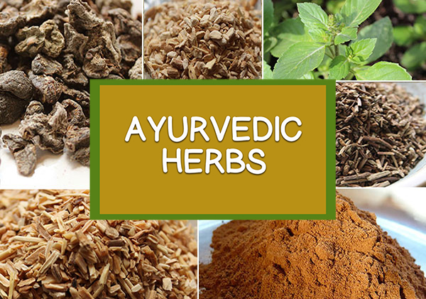 home-ayurvedic-herbs