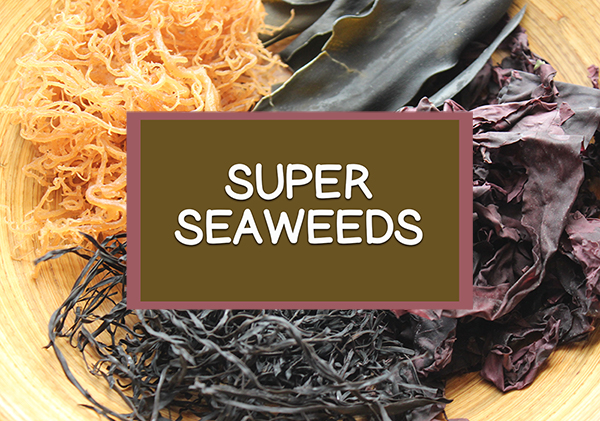 home-super-seaweeds