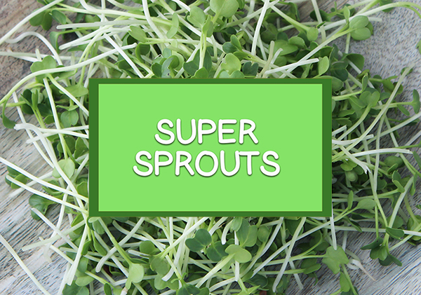 home-super-sprouts