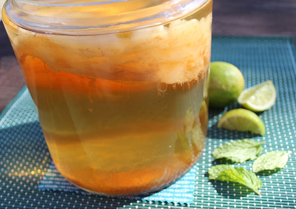homemade-kombucha-for-mojita-recipe