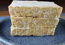 homemade-tempeh-recipe-page