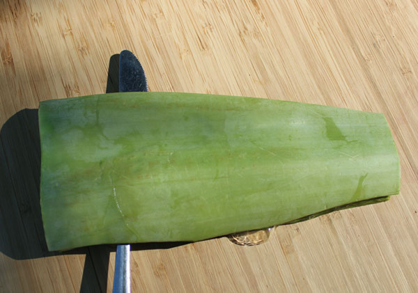 how-to-fillet-aloe-3