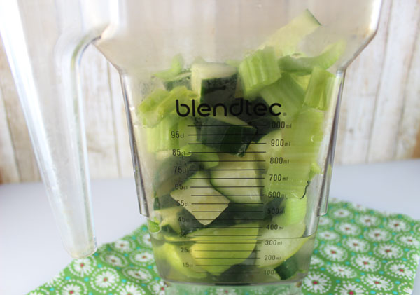 how-to-make-juice-with-a-blender-step-1