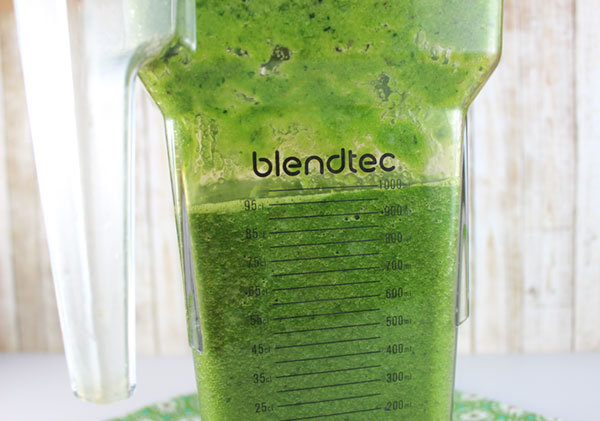 how-to-make-juice-with-a-blender-step-4