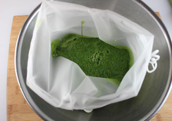 how-to-make-juice-with-a-blender-step-5