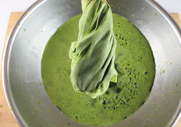 how-to-make-juice-with-a-blender-step-6