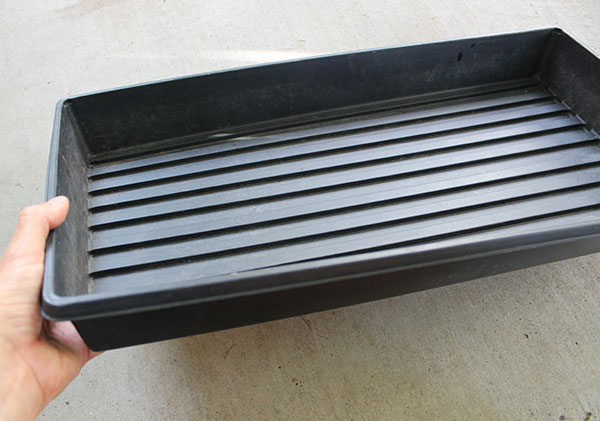 how-to-make-sprouts-growing-tray how-to-make-sprouts-growing-tray