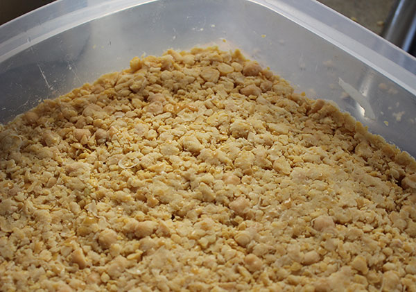 how-to-make-tempeh-pressed-beans