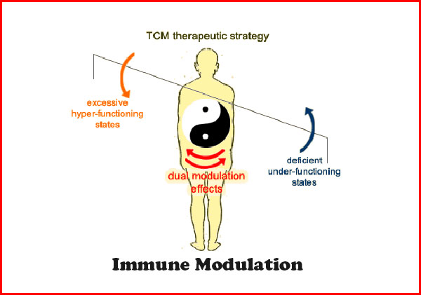 immune-modulation-double-directional