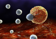 immune-system-related-page
