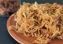 irish-moss-related-pages