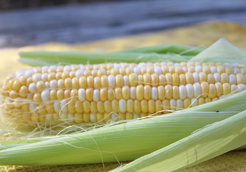 is-corn-good-for-you is-corn-good-for-you